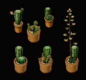 Potted cactus - Click Image to Close