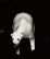 Ethereal Polar Bear - Click Image to Close