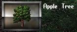 Apple Tree - Click Image to Close