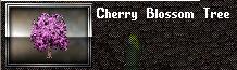 Cherry Tree - Click Image to Close