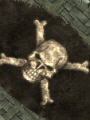 Skull Rug - Click Image to Close