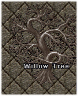 A Willow Tree - Click Image to Close